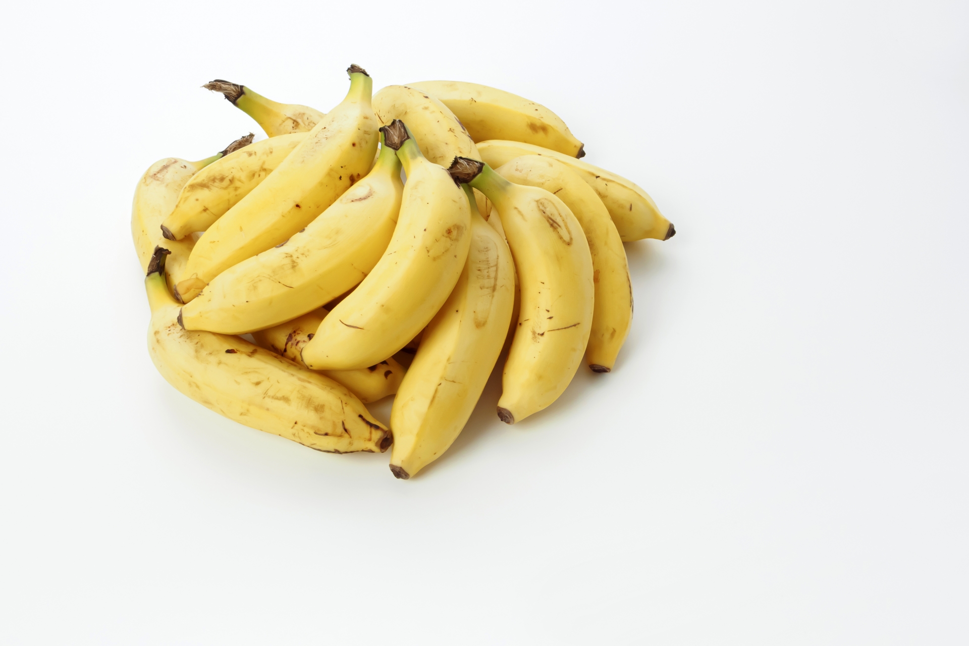 大人気幻の島バナナ苗 南国フルーツ果物特産物名産品特産品産地直送激レア果樹 菜園 - メルカリ 幻の島バナナ苗激レア希少南国果物フルーツ家庭菜園農業　果樹植木特産物特産品名産品